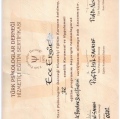 Resmi büyüt: certificate 13