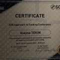 Resmi büyüt: certificate 3