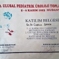 Resmi büyüt: certificate 9