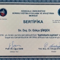 Resmi büyüt: certificate 2