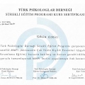 Resmi büyüt: certificate 7
