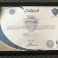 Resmi büyüt: certificate 2