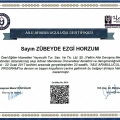 Resmi büyüt: certificate 19