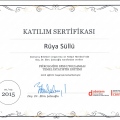 Resmi büyüt: certificate 6