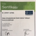 Resmi büyüt: certificate 13