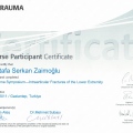 Resmi büyüt: certificate 25