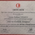 Resmi büyüt: certificate 4
