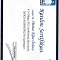 Resmi büyüt: certificate 16