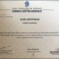 Resmi büyüt: certificate 2