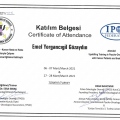 Resmi büyüt: certificate 8