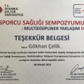 Resmi büyüt: certificate 38