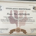 Resmi büyüt: certificate 4