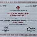 Resmi büyüt: certificate 4
