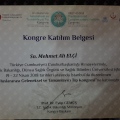 Resmi büyüt: certificate 26