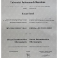 Resmi büyüt: certificate 1