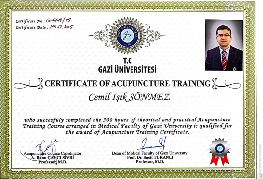 Cemil Işık Sönmez-18