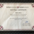 Resmi büyüt: certificate 5
