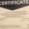 Resmi büyüt: certificate 2