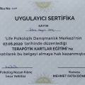 Resmi büyüt: certificate 8