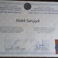 Resmi büyüt: certificate 8