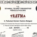 Resmi büyüt: certificate 18