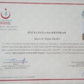 Resmi büyüt: certificate 2