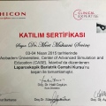 Resmi büyüt: certificate 27