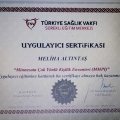Resmi büyüt: certificate 4