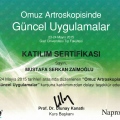 Resmi büyüt: certificate 34