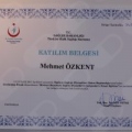 Resmi büyüt: certificate 12