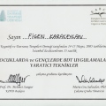 Resmi büyüt: certificate 4
