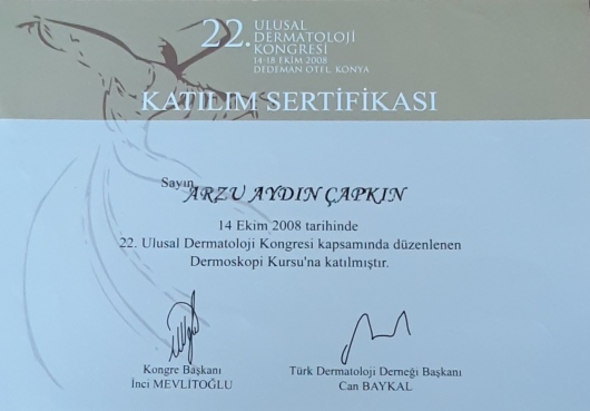 Arzu Aydın Çapkın-8