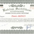 Resmi büyüt: certificate 5