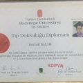 Resmi büyüt: certificate 1