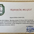 Resmi büyüt: certificate 9