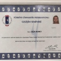 Resmi büyüt: certificate 6
