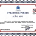 Resmi büyüt: certificate 1