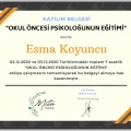 Resmi büyüt: certificate 3