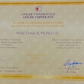 Resmi büyüt: certificate 4