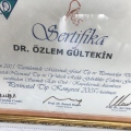 Resmi büyüt: certificate 17