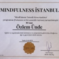 Resmi büyüt: certificate 12