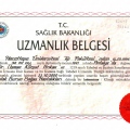 Resmi büyüt: certificate 5