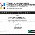 Resmi büyüt: certificate 25