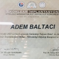 Resmi büyüt: certificate 4