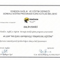 Resmi büyüt: certificate 4