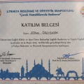 Resmi büyüt: certificate 3