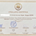 Resmi büyüt: certificate 10