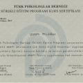 Resmi büyüt: certificate 5