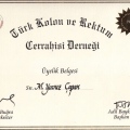 Resmi büyüt: certificate 15
