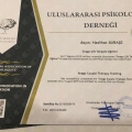 Resmi büyüt: certificate 6